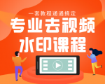 专业去视频水印教程 静态水印、动态水印、文字水印、图片水印一套教程通通搞定-瀚海资源库
