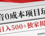 短视频变现套路剖析，抖音0成本赚钱项目玩法，日入500+独家揭秘（共2节视频）-瀚海资源库