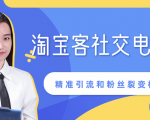 某站内部课程：淘宝客社交电商裂变，精准引流和粉丝裂变模式详解（共6节视频）-瀚海资源库
