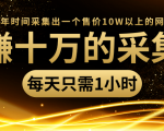 年赚十万的采集站,每天却只需要1小时,一年时间采集出一个售价10W以上的网站-瀚海资源库
