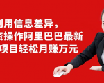 利用信息差异,零投资操作阿里巴巴最新管道项目轻松月赚10000+-瀚海资源库