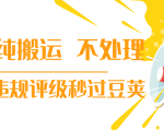抖音纯搬运 不处理 小技巧，30秒发一个作品，避免违规评级秒过豆荚-瀚海资源库