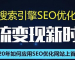 SEO搜索引擎优化总监实战VIP课堂【透析2020最新案例】快速实现年新30W-瀚海资源库
