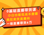 0基础直播带货课：小白也能低成本搭建疯狂卖货直播间：1场直播带货6万-瀚海资源库