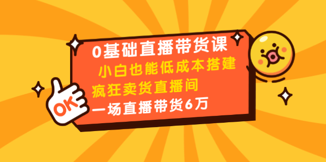 0基础直播带货课：小白也能低成本搭建疯狂卖货直播间：1场直播带货6万-瀚海资源库