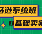 亚马逊系统班，专为0基础卖家量身打造，亚马逊运营流程与架构-瀚海资源库