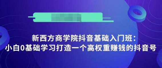 抖音基础入门班：小白0基础学习打造一个高权重赚钱的抖音号-瀚海资源库