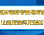 微信视频号变现项目，0粉丝冷启动项目和十三种变现方式-瀚海资源库
