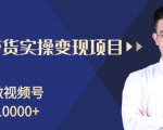 柚子分享课：微信视频号变现攻略，新手零基础轻松日赚千元-瀚海资源库