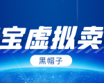 黑帽子淘宝虚拟卖货项目，单店每月收入5000+-瀚海资源库