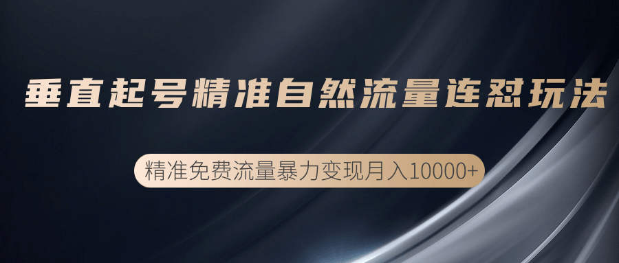 垂直起号精准自然流量连爆玩法，精准引流暴力变现月入10000+-瀚海资源库