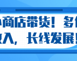 微信小商店带货,爆单多倍收入,长期复利循环!日赚300-800元不等-瀚海资源库