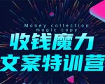 8堂收钱魔力文案特训营:让你的文案成为你的财富印钞机,靠文章日赚千元-瀚海资源库