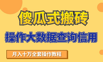 搬砖操作大数据查询信用项目赚钱教程，祝你快速月入6万-瀚海资源库