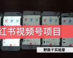 野路子小红书视频号1.0项目，直接上手操作就能赚钱的视频号项目-瀚海资源库