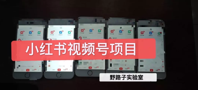 野路子小红书视频号1.0项目，直接上手操作就能赚钱的视频号项目-瀚海资源库