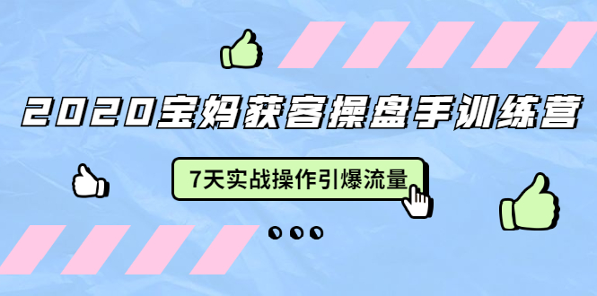2020宝妈获客操盘手训练营：7天实战操作引爆 母婴、都市、购物宝妈流量-瀚海资源库