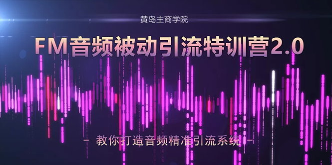 黄岛主·FM音频引流特训营2.0：独家引流模式，单账号50W+播放量，轻松变现-瀚海资源库