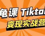 龟课·TikTok变现实战训练营线上第1期,多种变现模式,轻松赚美刀-瀚海资源库