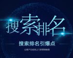搜索排名引爆点:教你快速掌握各个搜索引擎排名算法,让客户主动找上你的秘笈-瀚海资源库