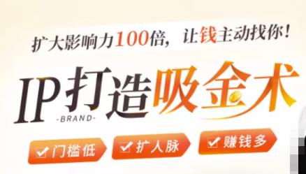 IP打造吸金术：0基础0资源，也能扩大影响力100倍，让钱主动找你！-瀚海资源库