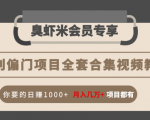 暴利偏门项目全套合集视频教程：你要的日赚1000+月入几万+项目都有-瀚海资源库
