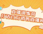 直播训练营：打造百万销售直播间 教会你如何直播带货，抓住直播大风口-瀚海资源库