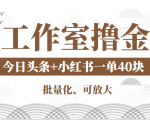 工作室撸金二件套：撸今日头条原创收益+小红书一单利润40块项目-瀚海资源库