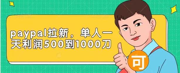 Paypal拉新赚美刀项目，单人一天利润500-1000刀【视频课程】-瀚海资源库