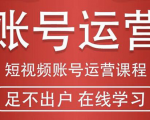 短视频账号运营课程：从话术到短视频运营再到直播带货全流程，新人快速入门-瀚海资源库