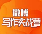村西边老王·微博超级写作实战营,帮助你粉丝猛涨价值999元-瀚海资源库