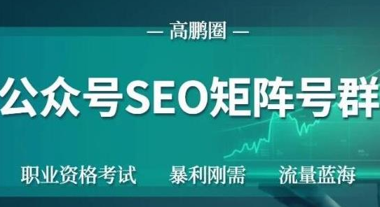 高鹏圈公众号SEO矩阵号群，实操20天纯收益25000+，普通人都能做-瀚海资源库