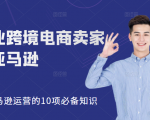 职业跨境电商卖家聊亚马逊：亚马逊运营的10项必备知识，12堂课让你看懂亚马逊运营-瀚海资源库