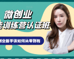 微创业全能训练营认证班课程，从理论知识与实际案例手把手指导创业新手如何从零到有-瀚海资源库