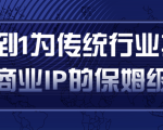 从0到1为传统行业打造抖音商业IP简单高效的保姆级攻略-瀚海资源库