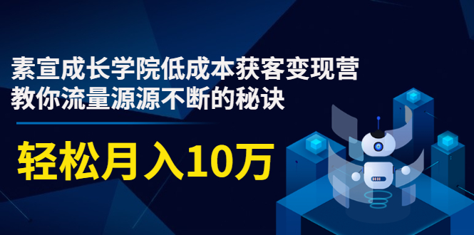 素宣成长学院低成本获客变现营，教你流量源源不断的秘诀，轻松月入10万-瀚海资源库