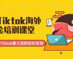 最新Tiktok海外掘金培训课堂：带你玩转Tiktok暴力涨粉轻松变现-瀚海资源库