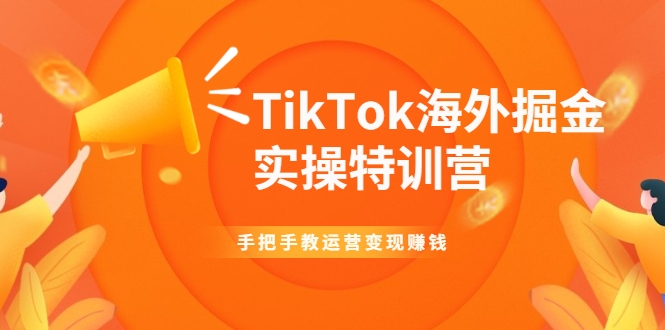 TikTok海外掘金实操特训营：手把手教运营变现赚钱-瀚海资源库
