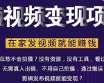 在家也能操作的短视频赚钱项目,无需真人,不用拍摄,纯搬运月入2到5万-瀚海资源库