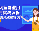2021闲鱼副业月入过万实战课程:从开店到选择货源到引流,全程实战教学-瀚海资源库