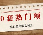 30套热门项目:单日最高收入过万 (网赚项目、朋友圈、涨粉套路、抖音、快手)等-瀚海资源库