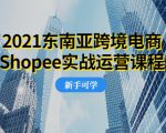2021东南亚跨境电商Shopee实战运营课程，0基础、0经验、0投资的副业项目-瀚海资源库
