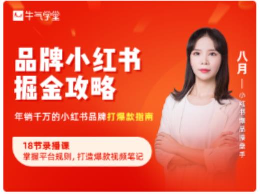 品牌小红书掘金攻略，年销千万的小红书品牌打爆款指南-瀚海资源库
