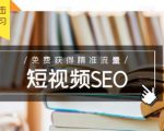 未来新趋势,布局短视频SEO,如何利用抖音SEO免费获得精准流量(3节课)-瀚海资源库