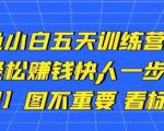 卓让闲鱼小白五天训练营,每天一小时,轻松赚钱快人一步-瀚海资源库