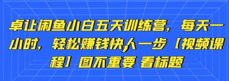 卓让闲鱼小白五天训练营，每天一小时，轻松赚钱快人一步-瀚海资源库