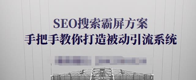 SEO搜索霸屏方案，手把手教你打造被动引流系统【视频课程】-瀚海资源库