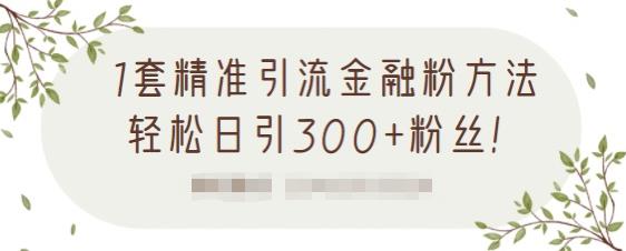 1套精准引流金融粉方法，轻松日引300+粉丝-瀚海资源库