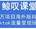 鲸叹号·海外TIKTOK训练营,百万项目海外版抖音tiktok流量变现玩法-瀚海资源库