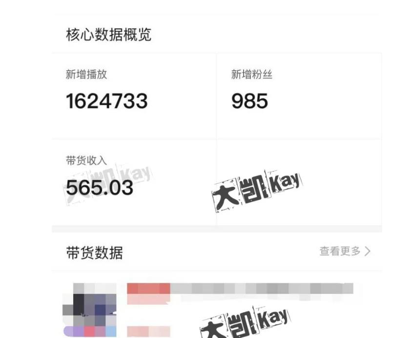 大凯进阶圈新玩法之拼多多视频玩法，利润大概一个号一天能有500~1500的左右!-瀚海资源库